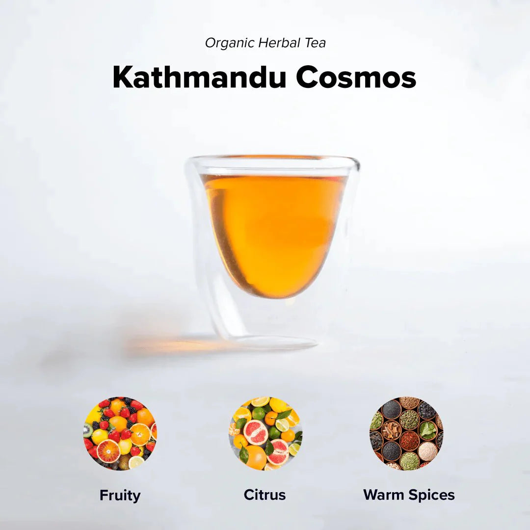 Kathmandu Cosmos (Unique Herbal Chai)-15 Pyramid Tea Bags - Concordia Style Boutique