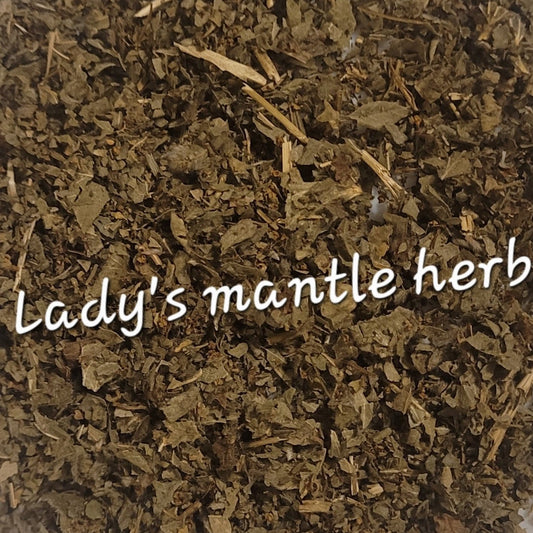 Lady's Mantle Herb | Women's Wellness & Herbal Balance
