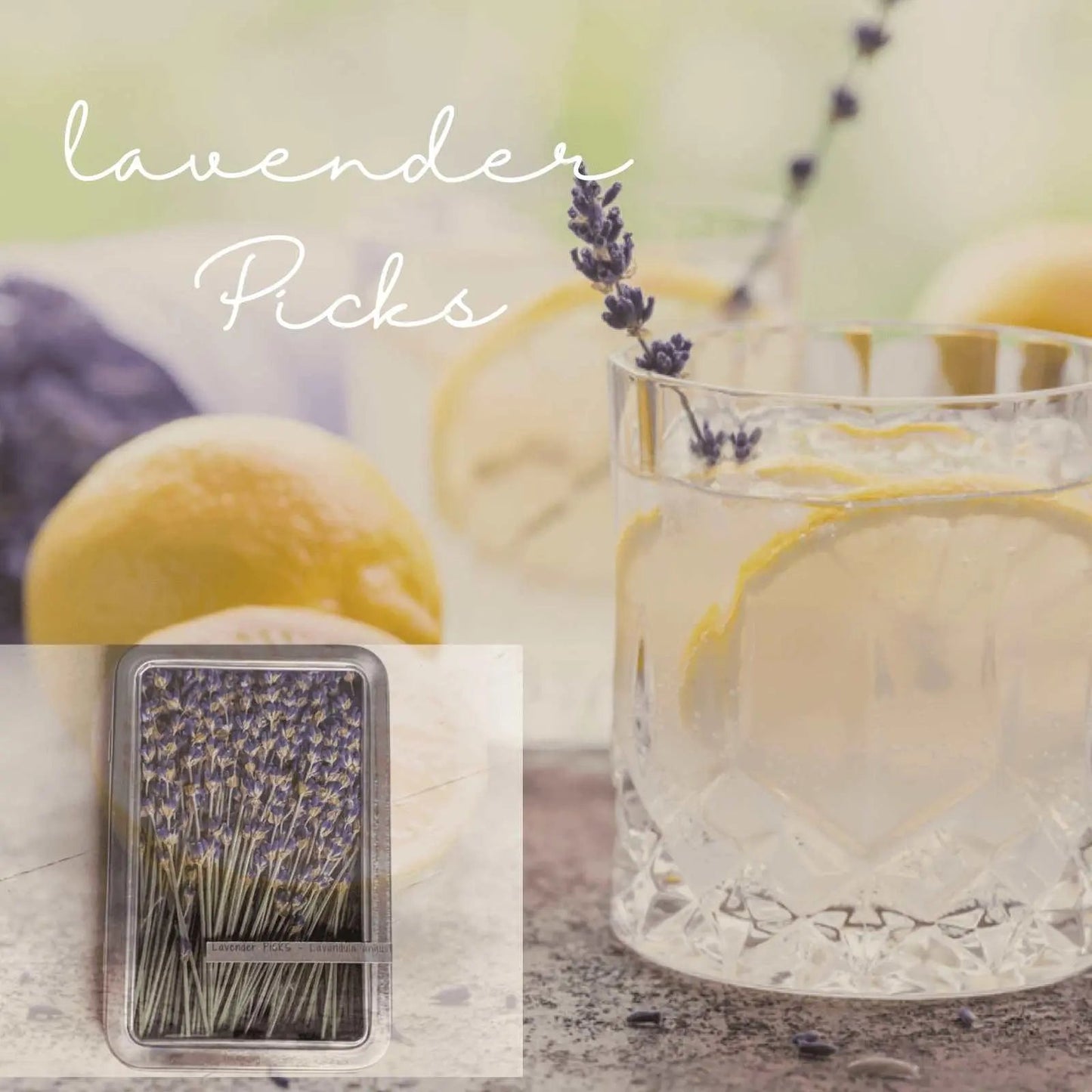 Lavender Picks- Dried Stems