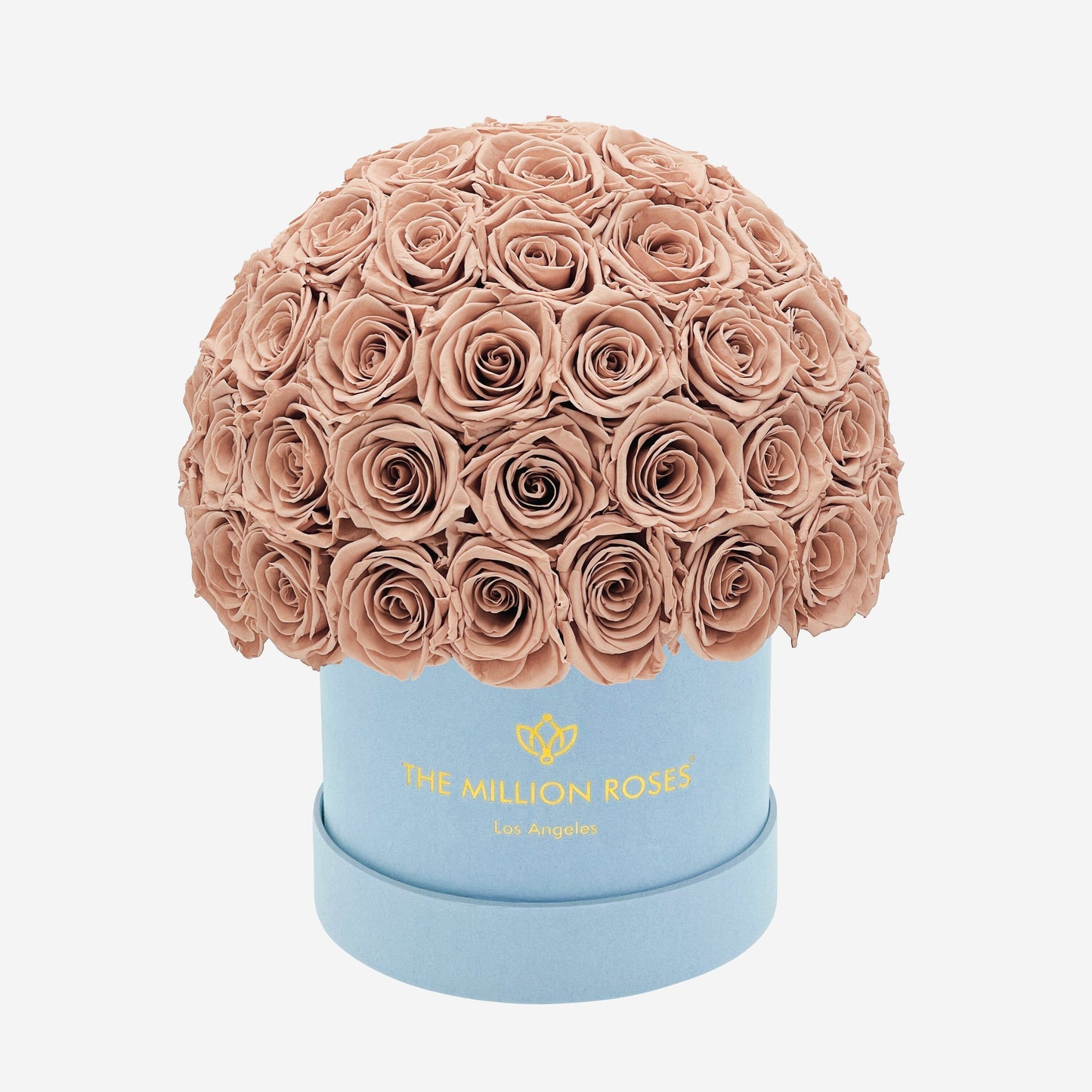 Classic Light Blue Suede Superdome Box | Sand Roses