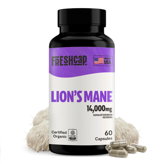 Lion's Mane Mushroom Extract Capsules - Concordia Style Boutique