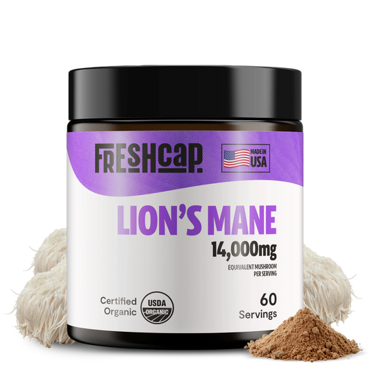 Lion's Mane Mushroom Extract Powder - Concordia Style Boutique