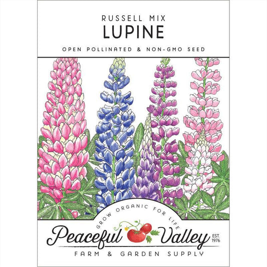 Russell Lupine Seed Pack