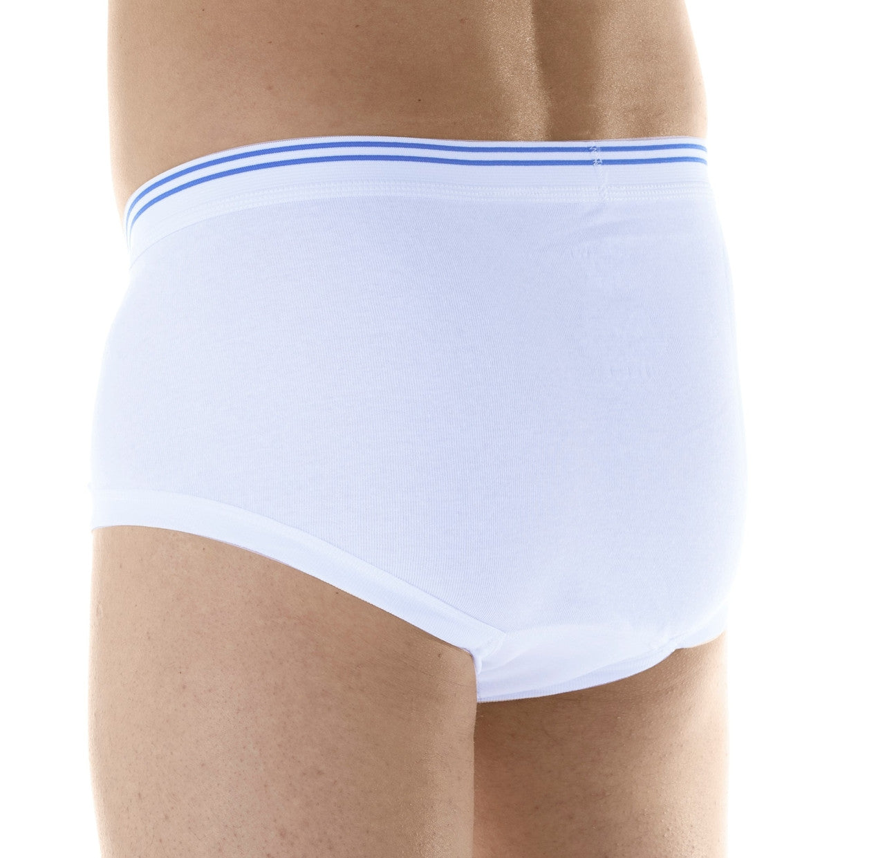 Classic Regular Absorbency Brief (SKU: M100)