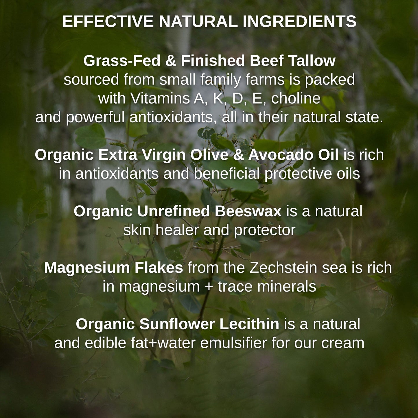 Shwally Tallow & Magnesium Oil Cream + Methylene Blue Option 4Oz