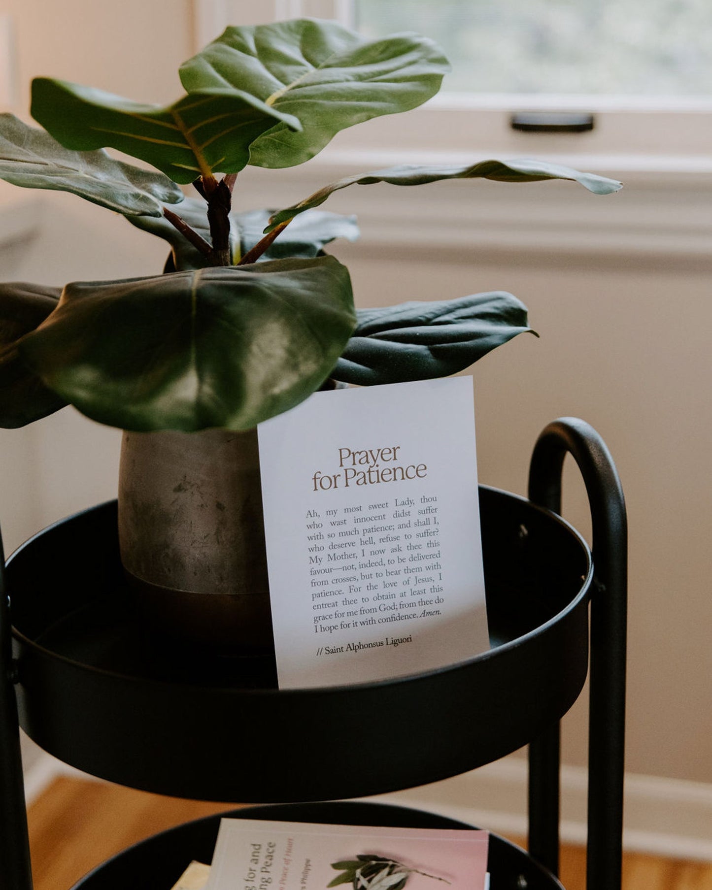 Marian Prayer Card Set - Concordia Style Boutique