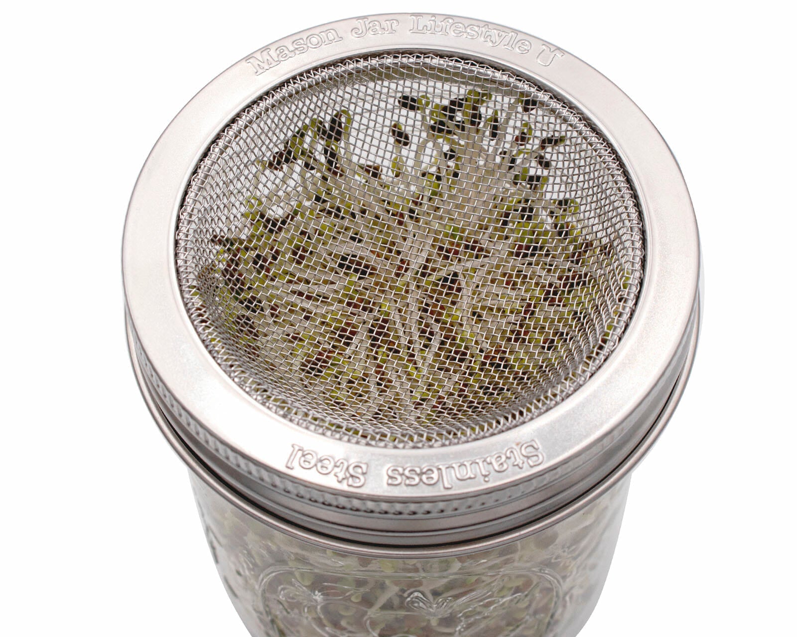 Curved Rust Proof Sprouting Lid and Band for Mason Jars - Concordia Style Boutique