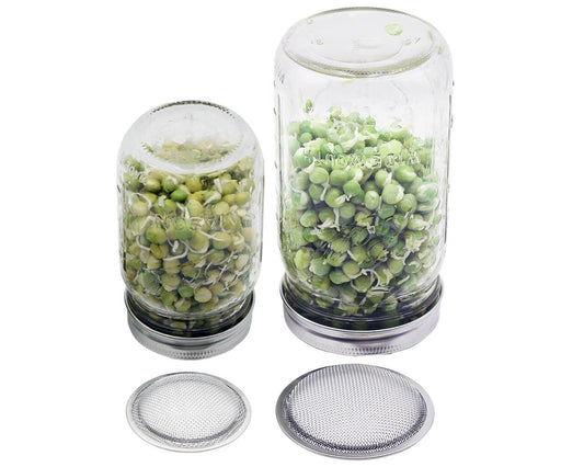 Curved Rust Proof Sprouting Lid and Band for Mason Jars - Concordia Style Boutique