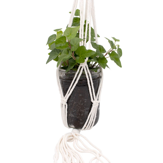 Braided Macrame Rope Mason Jar Holder / Hanger - Concordia Style Boutique