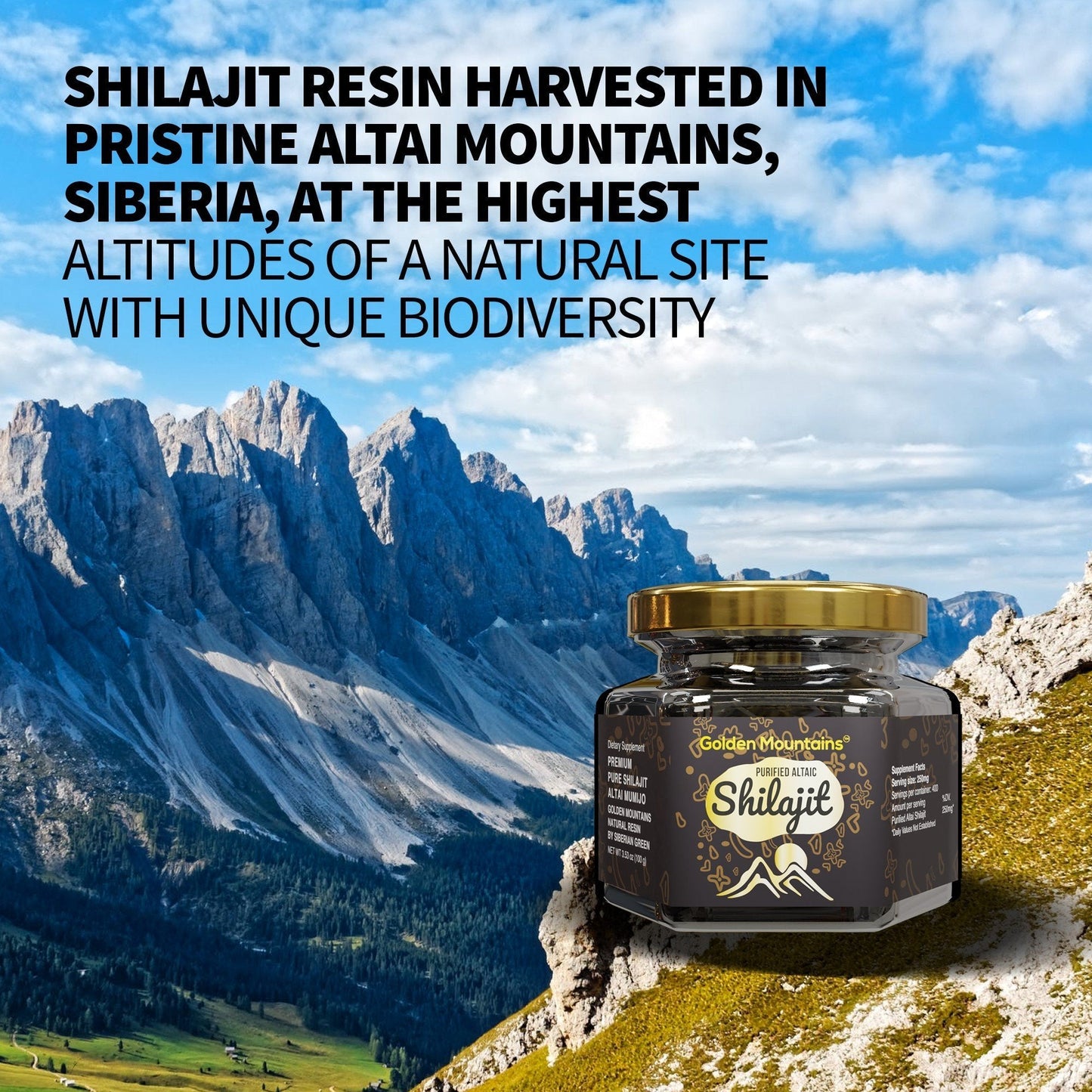 Golden Mountains Shilajit Resin 100g: Pure Altai Mountains Shilajit by Siberian Green - Concordia Style Boutique