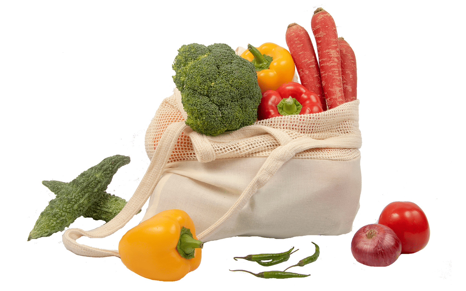 Mesh & Fabric Tote Bag - Concordia Style Boutique