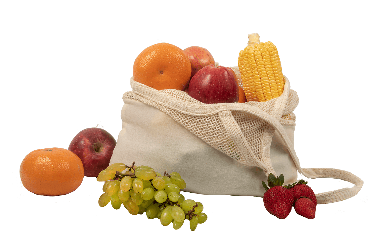 Mesh & Fabric Tote Bag - Concordia Style Boutique