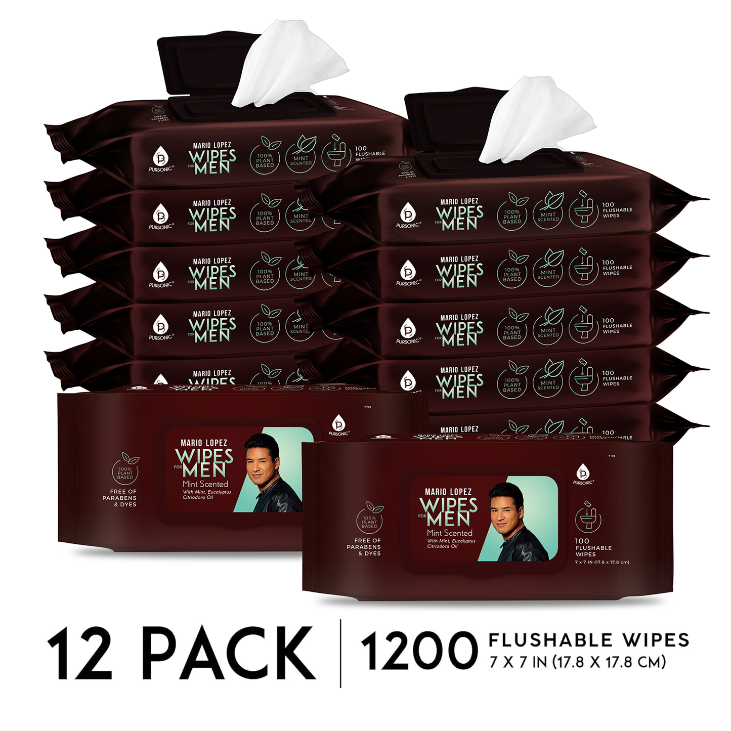 12 Pack of Flushable Mario Lopez Man Wipes (1200 Mint Scented Wipes) - Concordia Style Boutique