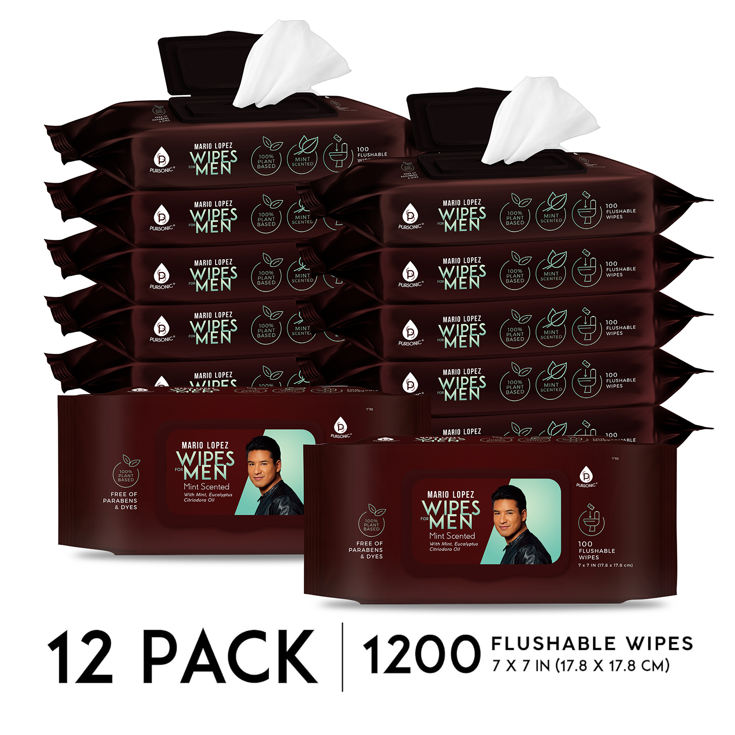 12 Pack of Flushable Mario Lopez Man Wipes (1200 Mint Scented Wipes) - Concordia Style Boutique