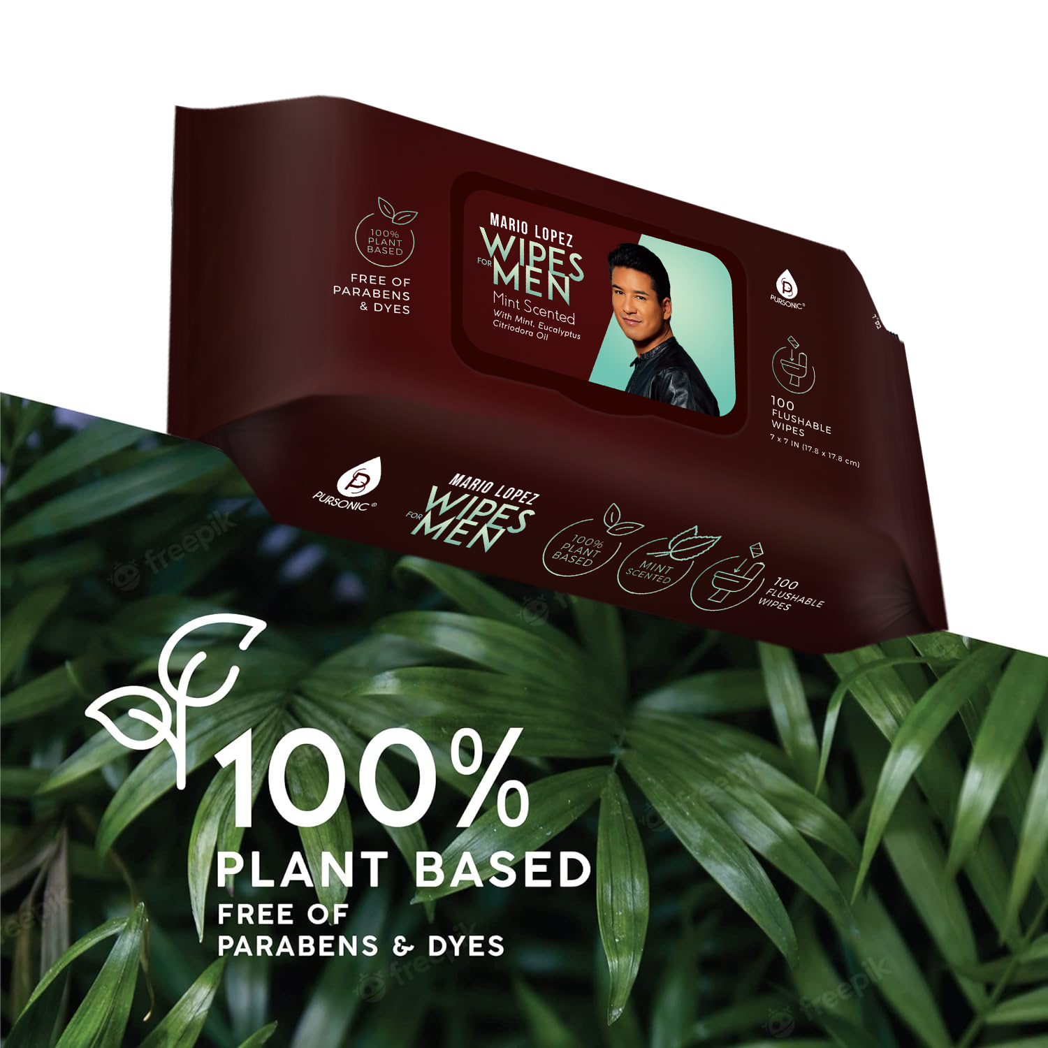 12 Pack of Flushable Mario Lopez Man Wipes (1200 Mint Scented Wipes) - Concordia Style Boutique