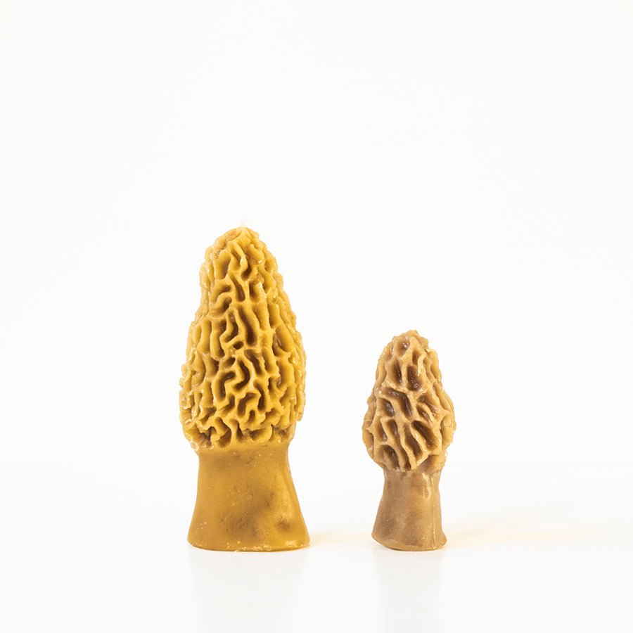 Morel Mushroom Beeswax Candle - Concordia Style Boutique