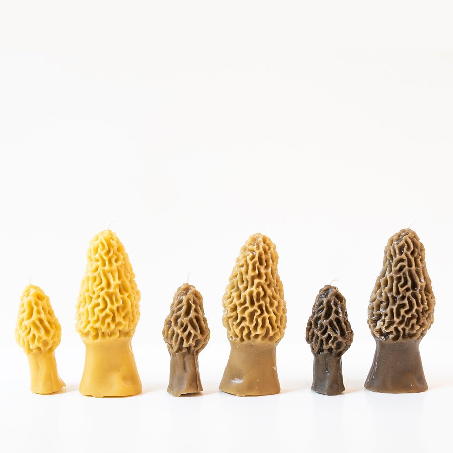 Morel Mushroom Beeswax Candle - Concordia Style Boutique