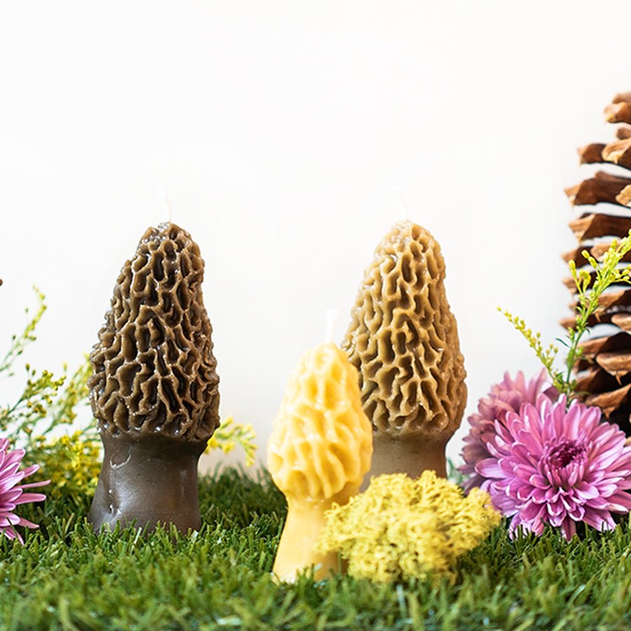 Morel Mushroom Beeswax Candle - Concordia Style Boutique