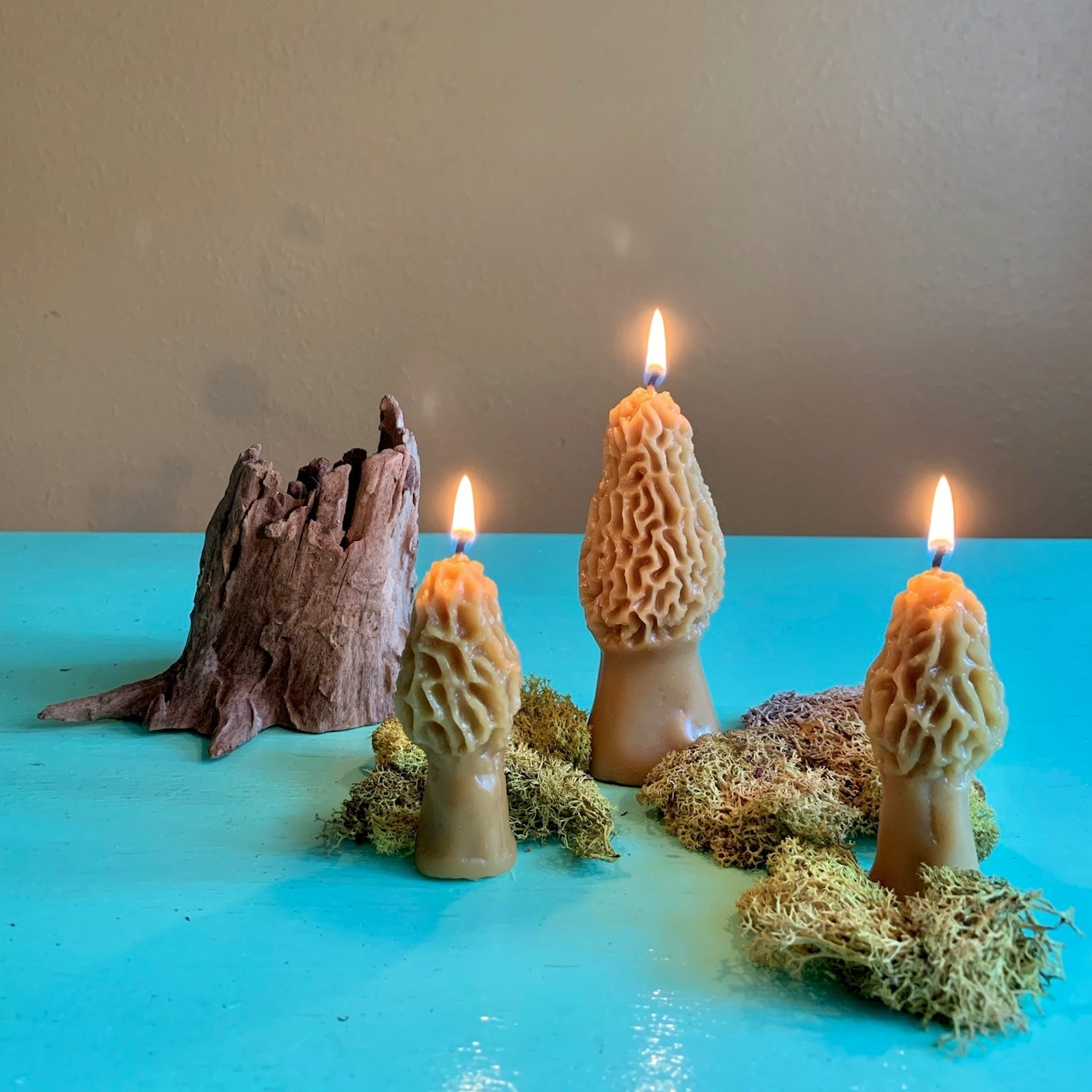 Morel Mushroom Beeswax Candle - Concordia Style Boutique