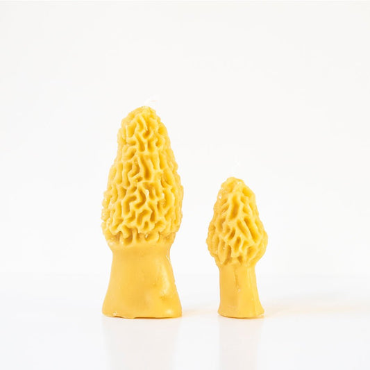 Morel Mushroom Beeswax Candle - Concordia Style Boutique