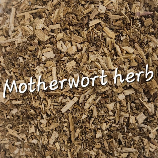 Motherwort (Leonurus cardiaca) | Heart Tonic & Women's Nervine