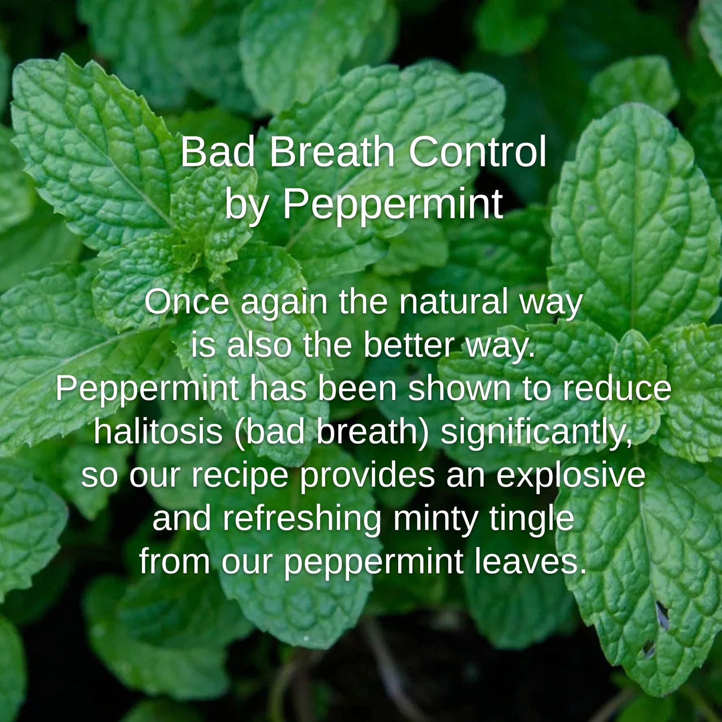 Shwally Peppermint Coconut Mouth Rinse 8OZ