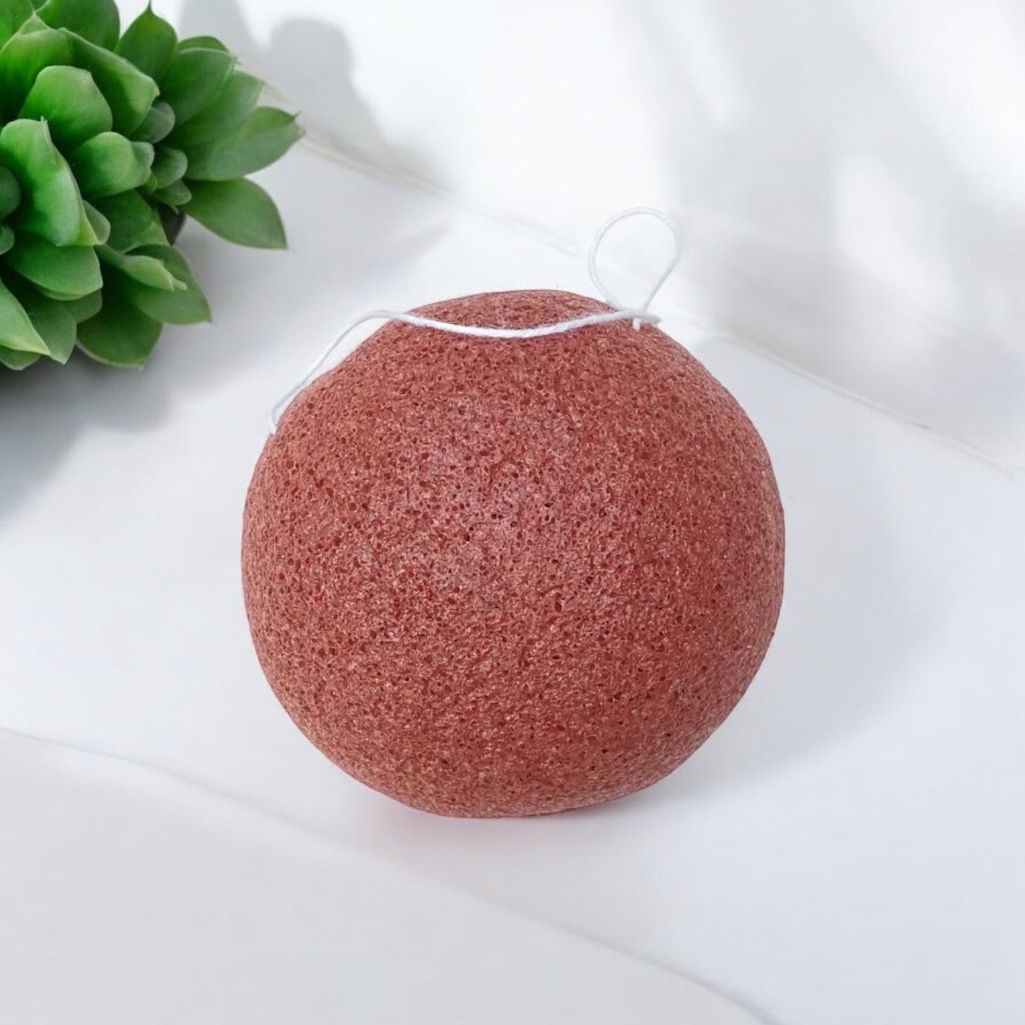 Natural Konjac Facial Sponge - Concordia Style Boutique