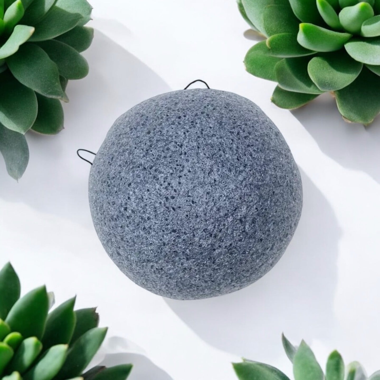 Natural Konjac Facial Sponge - Concordia Style Boutique