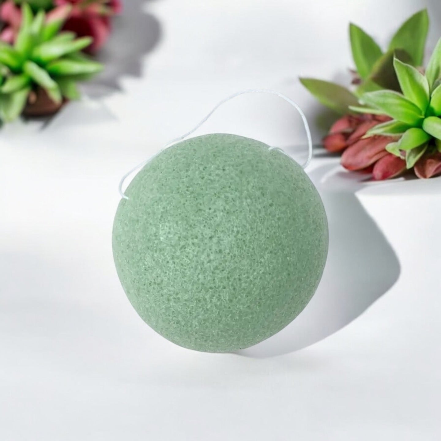 Natural Konjac Facial Sponge - Concordia Style Boutique