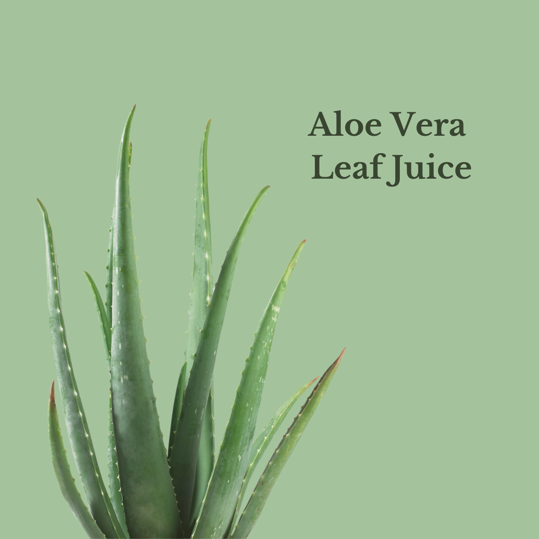 Bulgarian Rose Vitamin Mist 4oz - Concordia Style Boutique