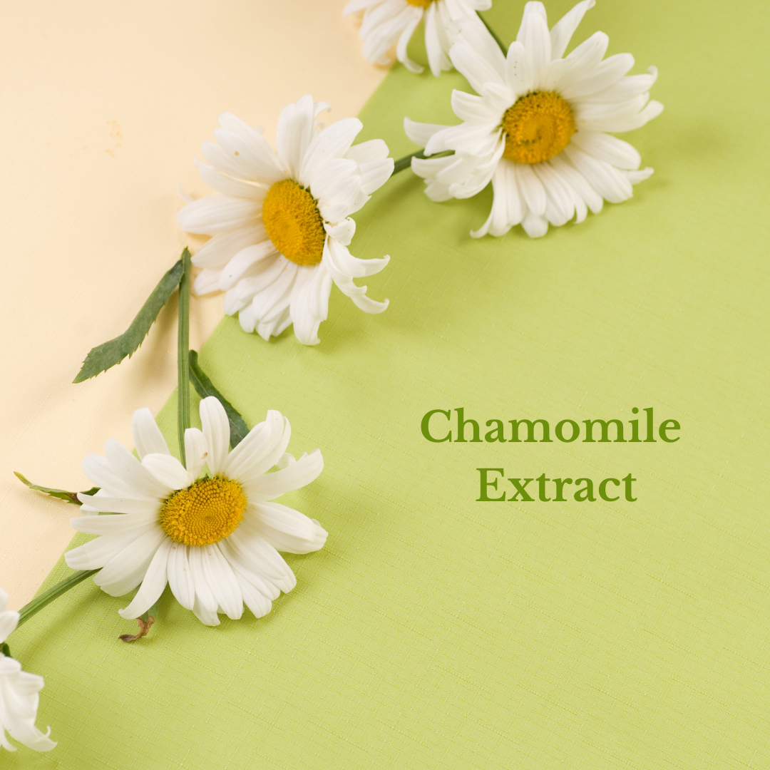 Bulgarian Rose Vitamin Mist 4oz - Concordia Style Boutique