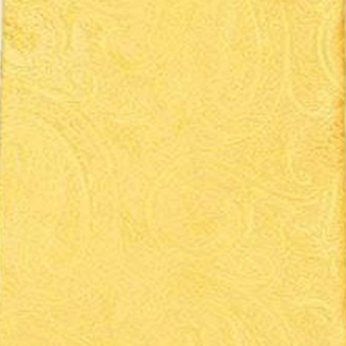 Vittorio Farina Men's Paisley Design Necktie & Pocket Square