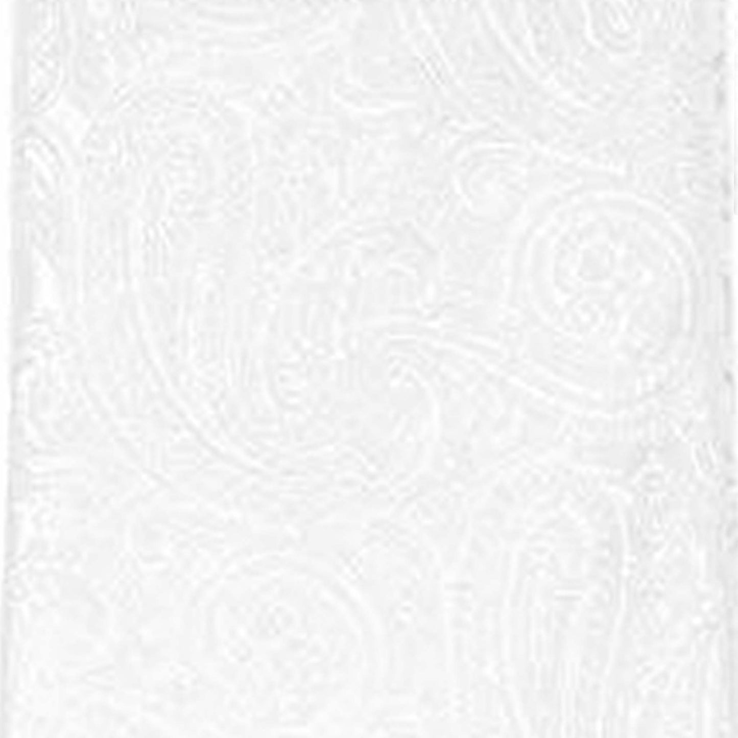 Vittorio Farina Men's Paisley Design Necktie & Pocket Square