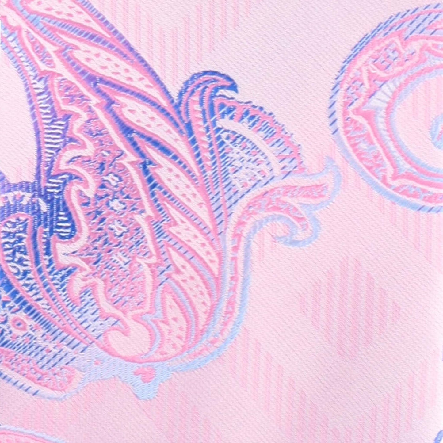 Vittorio Farina Men's Paisley Design Necktie & Pocket Square