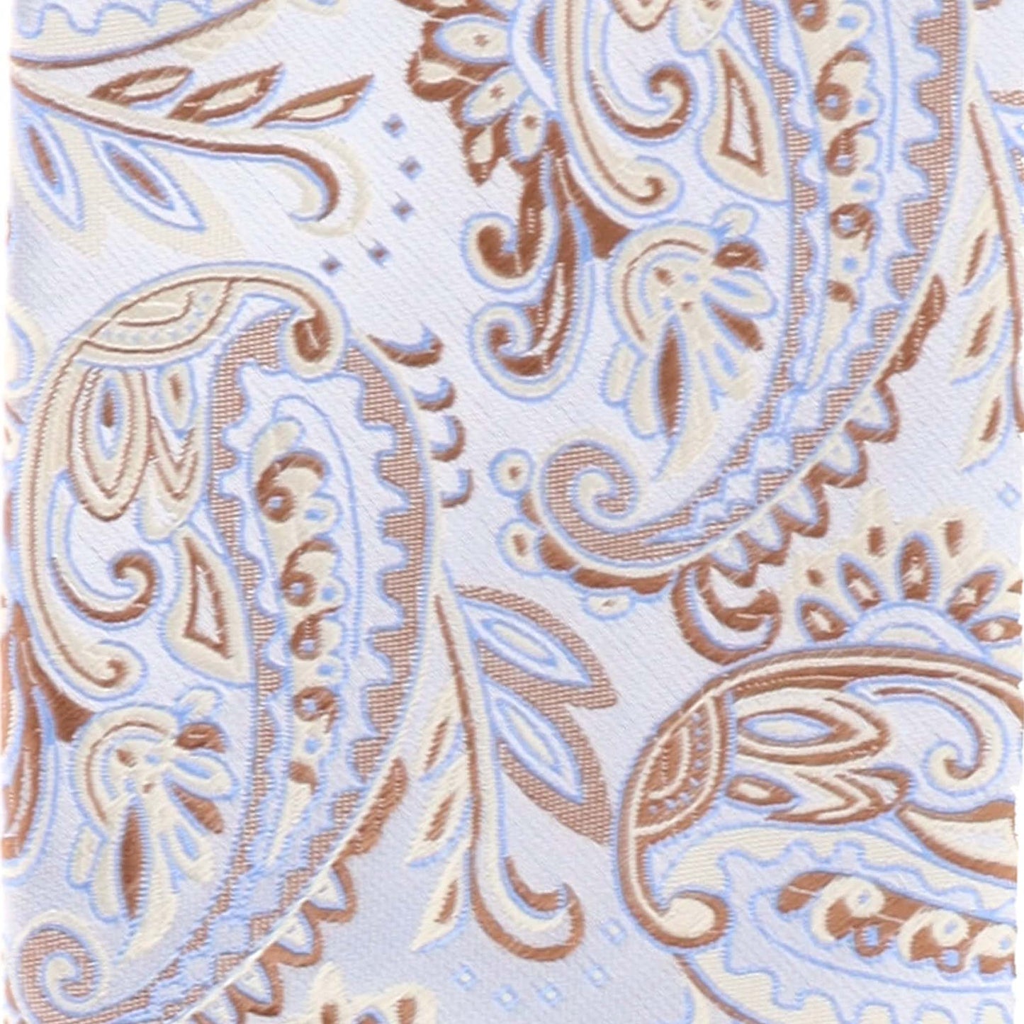 Vittorio Farina Men's Paisley Design Necktie & Pocket Square
