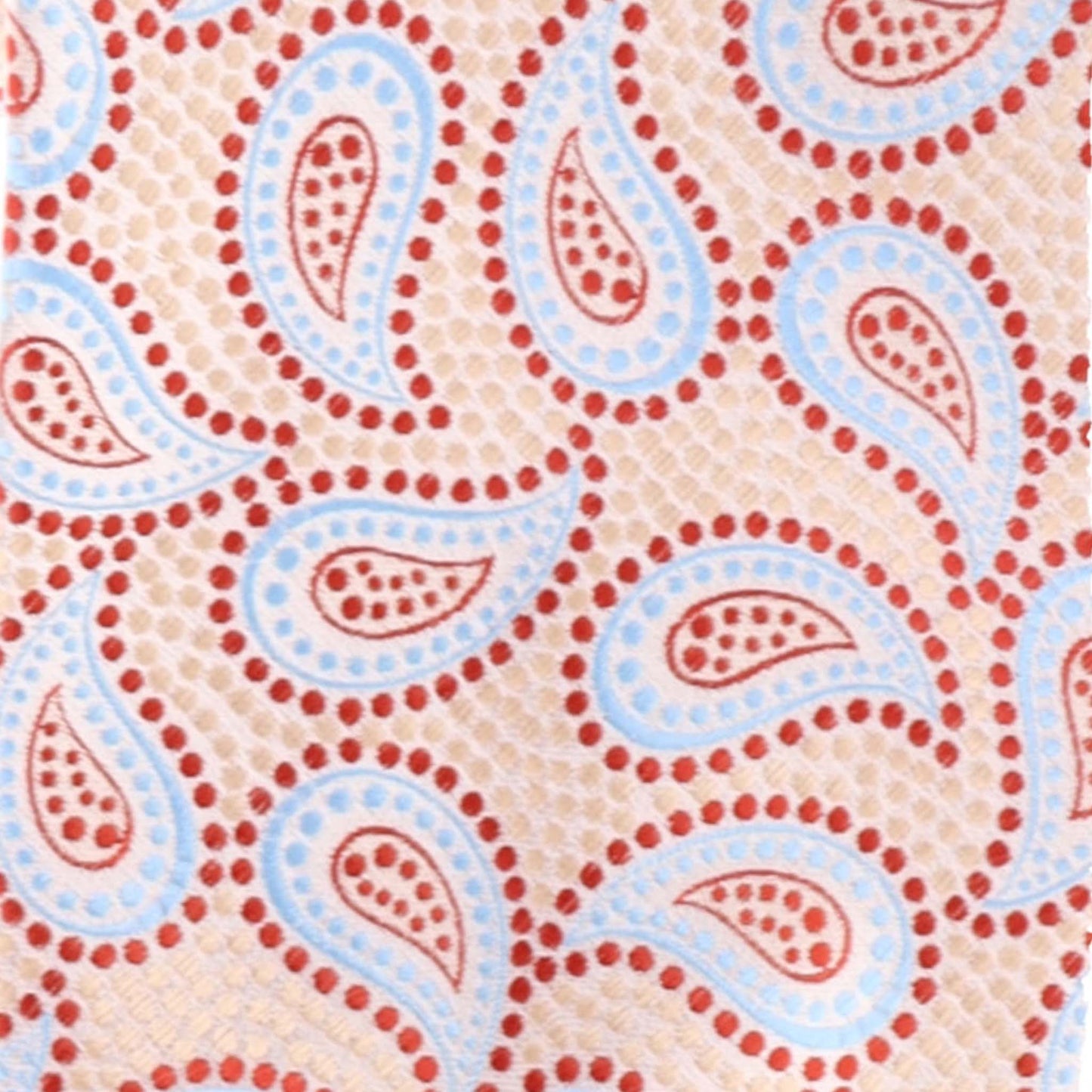 Vittorio Farina Men's Paisley Design Necktie & Pocket Square