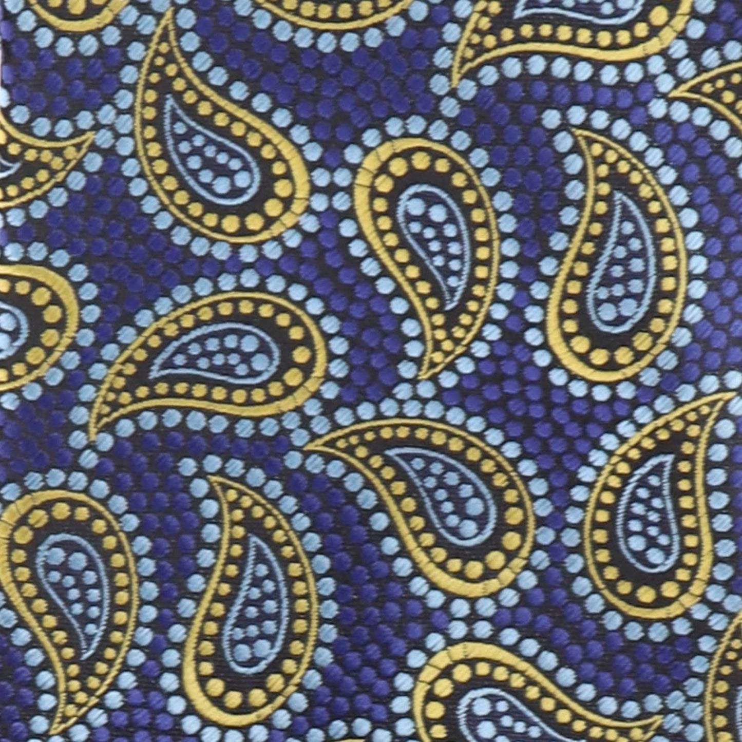 Vittorio Farina Men's Paisley Design Necktie & Pocket Square