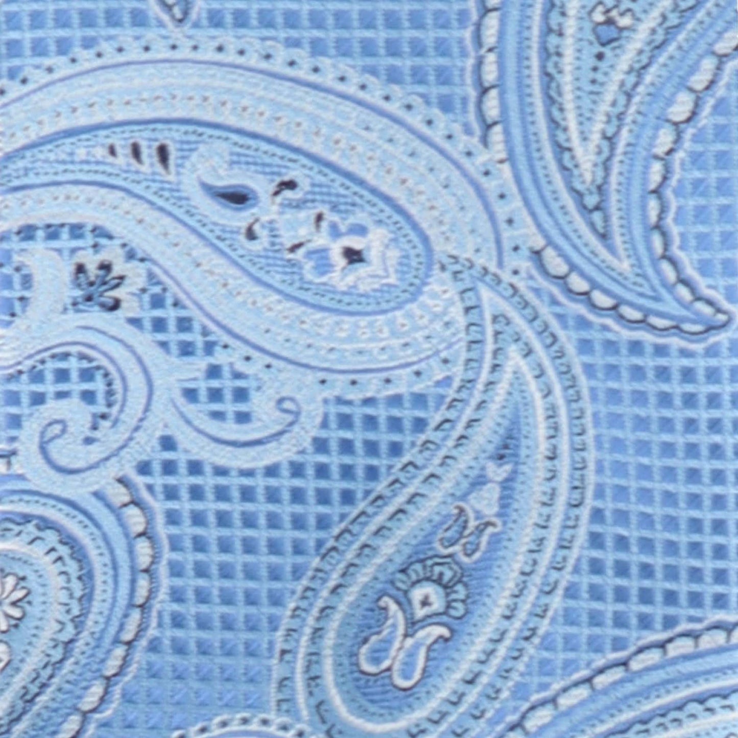 Vittorio Farina Men's Paisley Design Necktie & Pocket Square