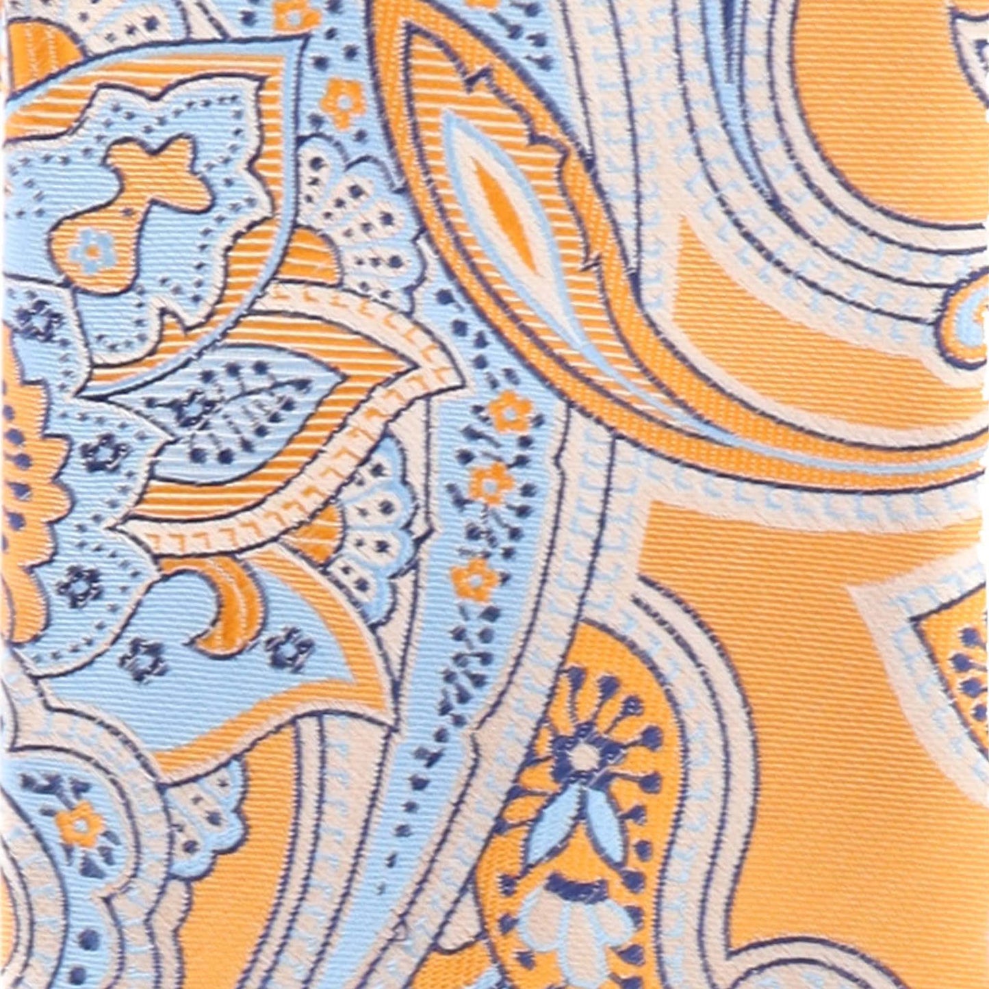 Vittorio Farina Men's Paisley Design Necktie & Pocket Square