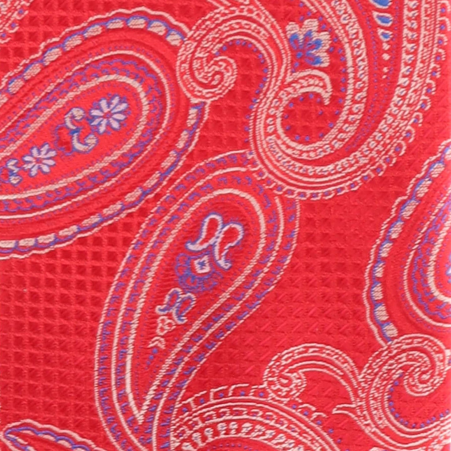 Vittorio Farina Men's Paisley Design Necktie & Pocket Square