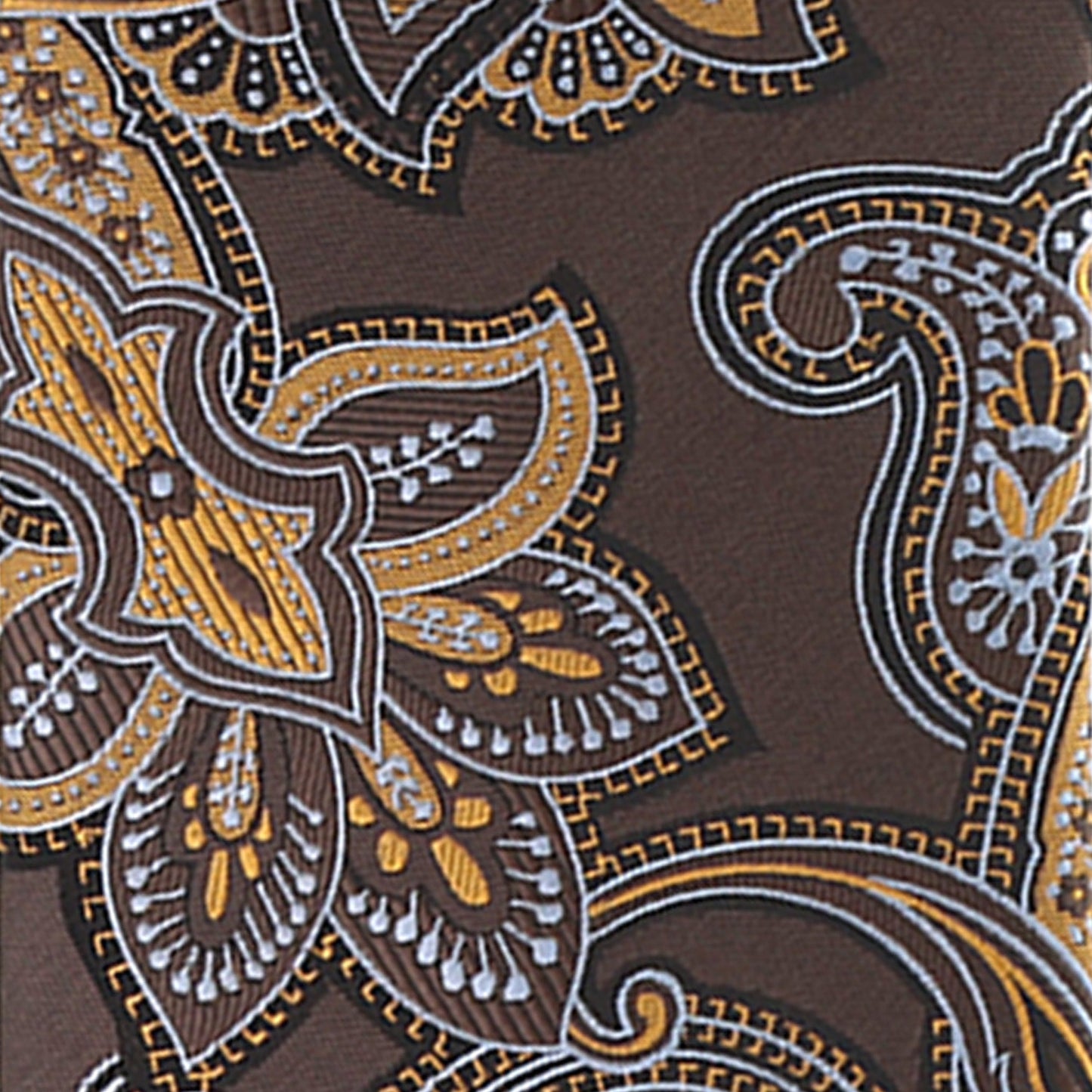 Vittorio Farina Men's Paisley Design Necktie & Pocket Square