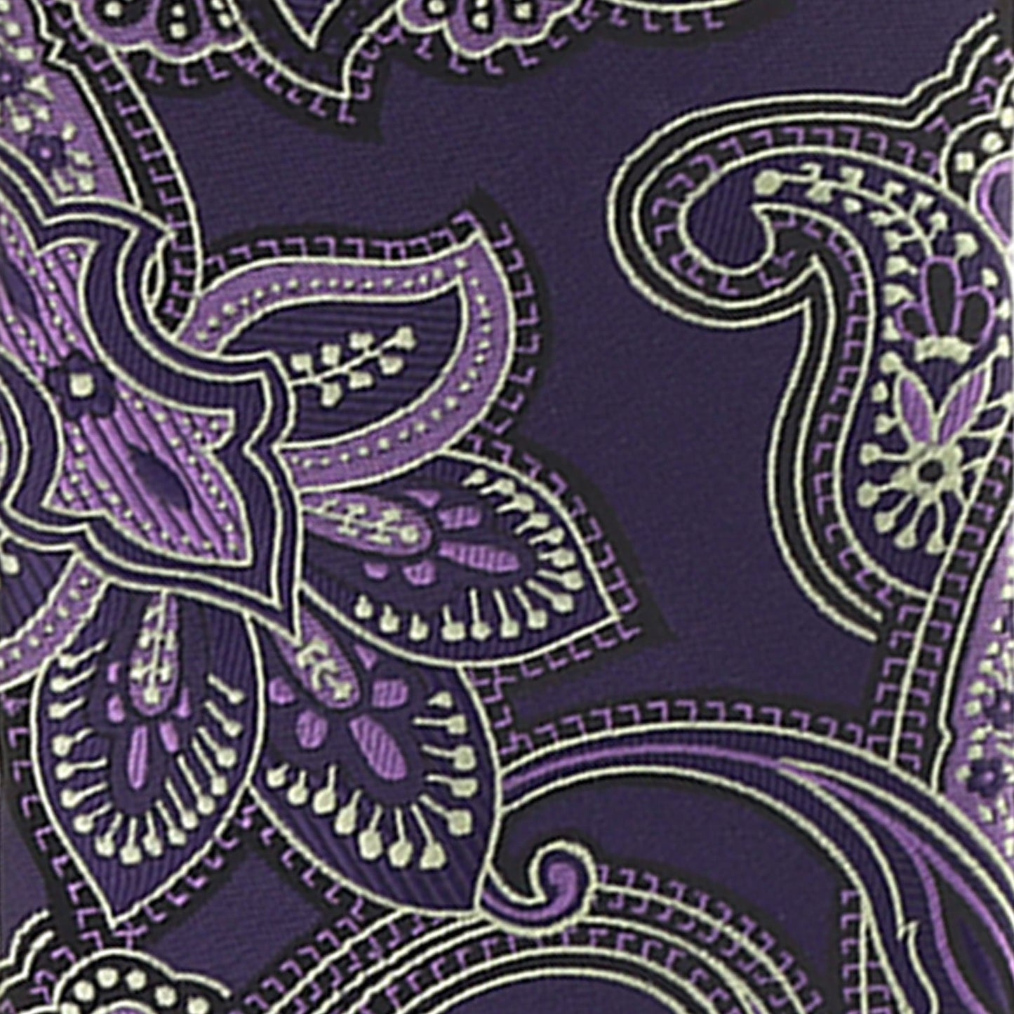 Vittorio Farina Men's Paisley Design Necktie & Pocket Square