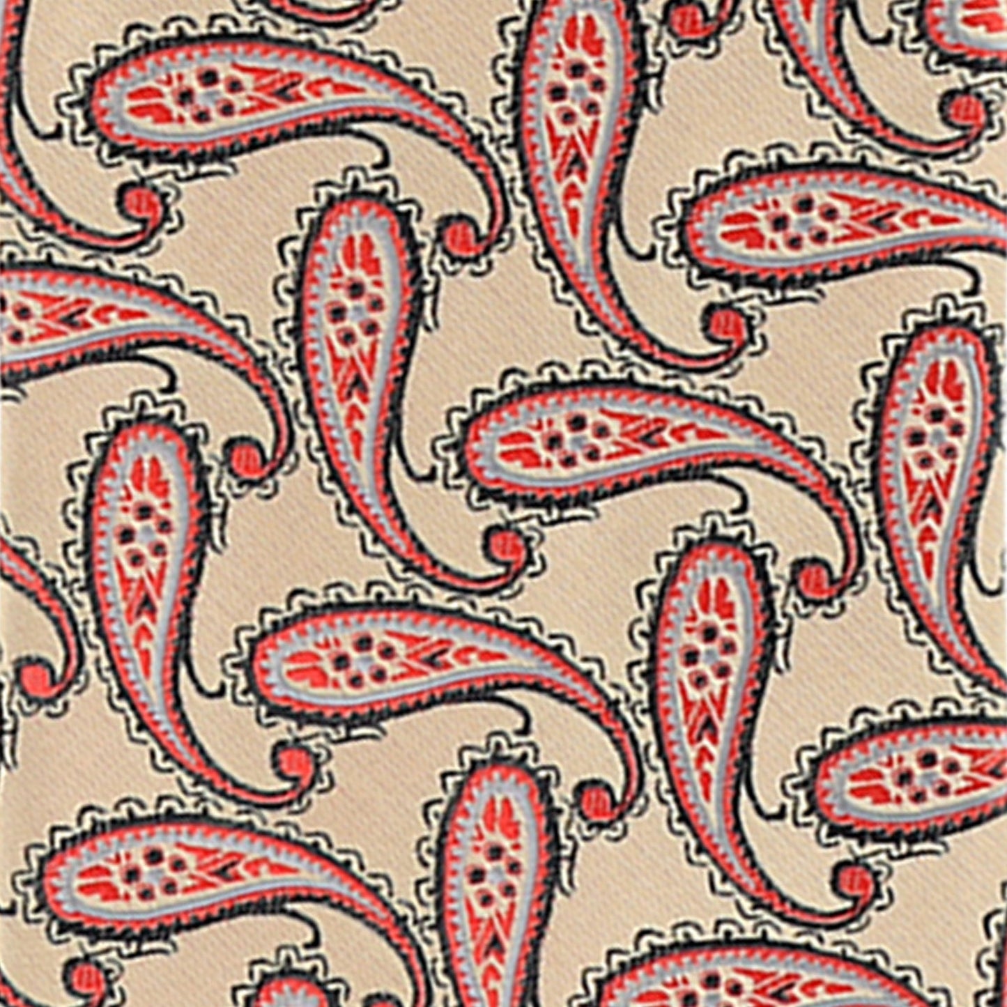 Vittorio Farina Men's Paisley Design Necktie & Pocket Square