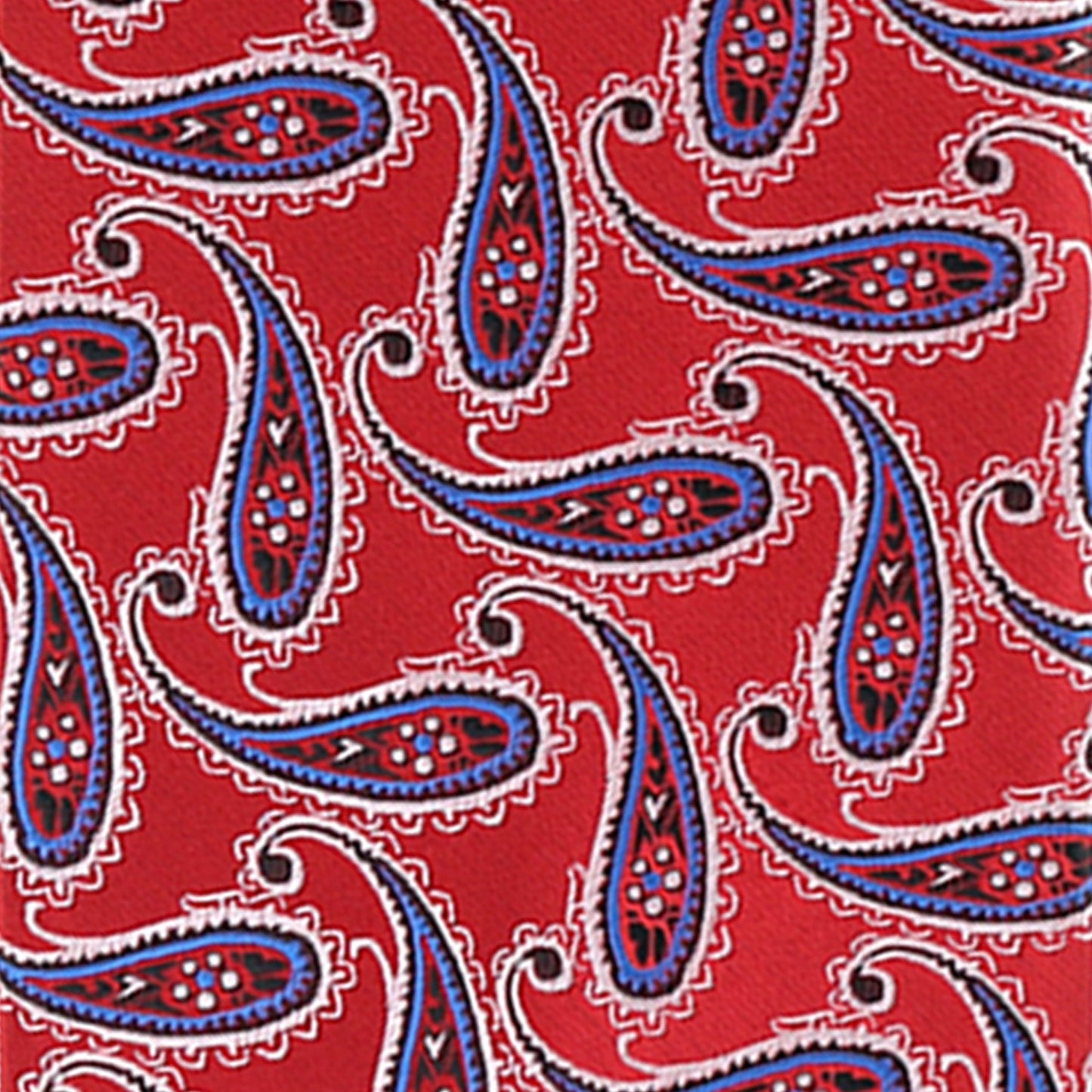 Vittorio Farina Men's Paisley Design Necktie & Pocket Square
