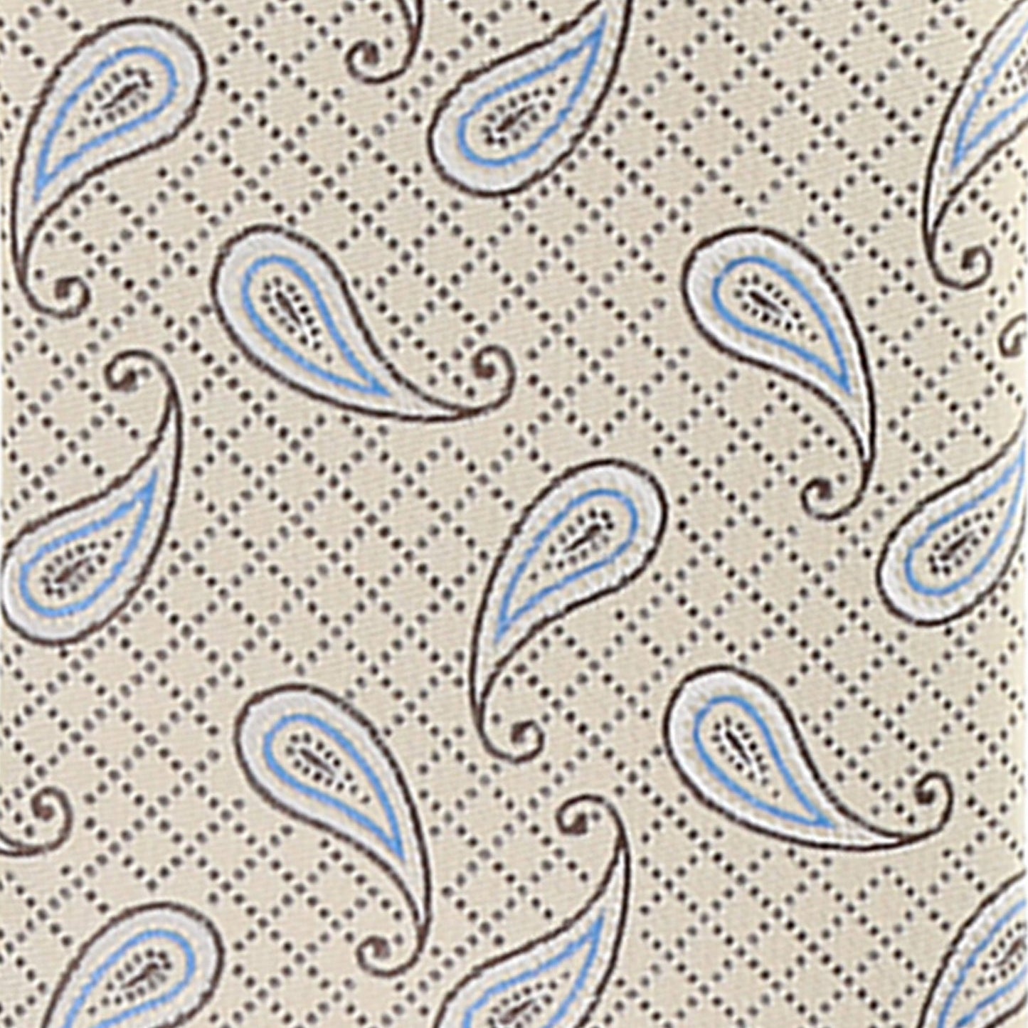 Vittorio Farina Men's Paisley Design Necktie & Pocket Square