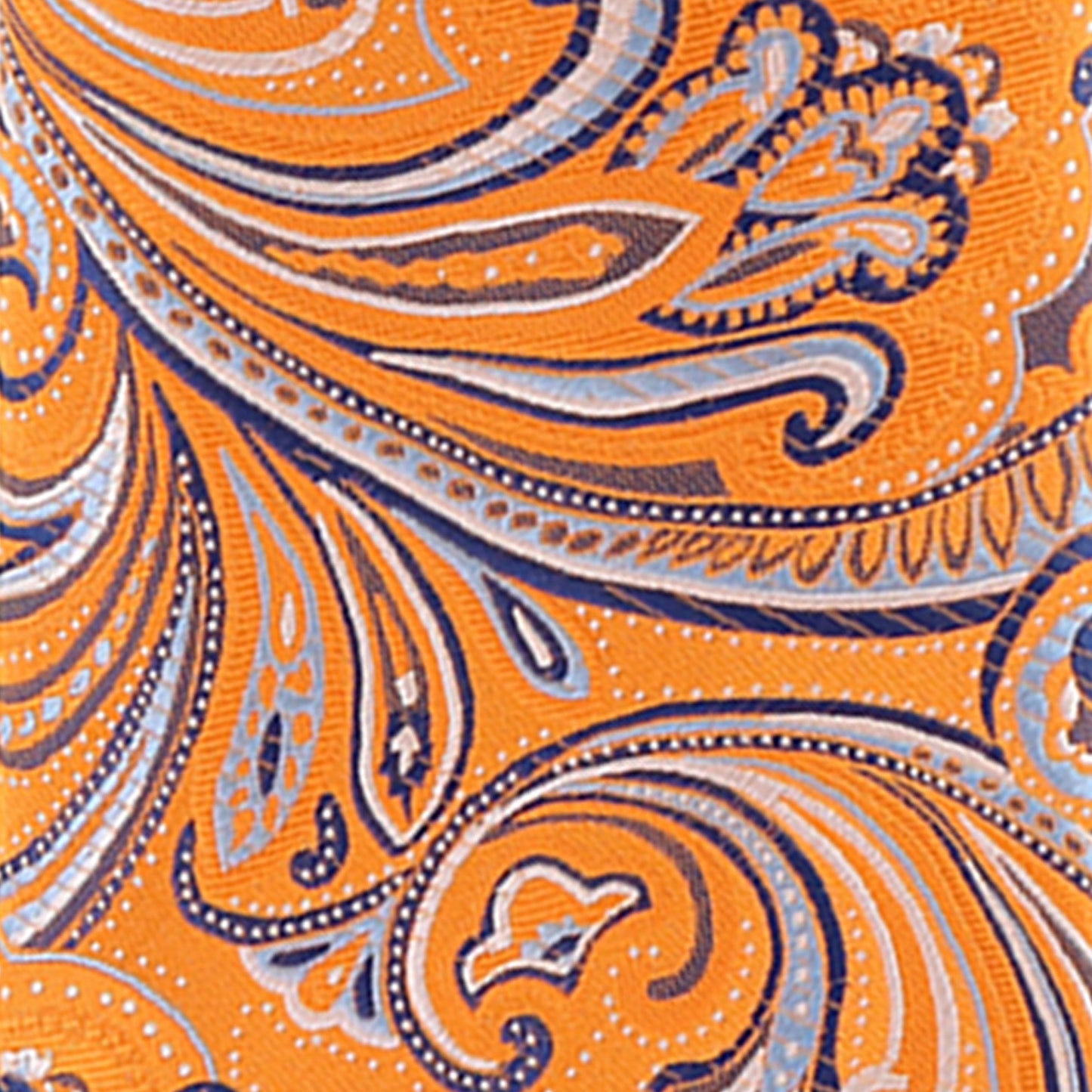 Vittorio Farina Men's Paisley Design Necktie & Pocket Square