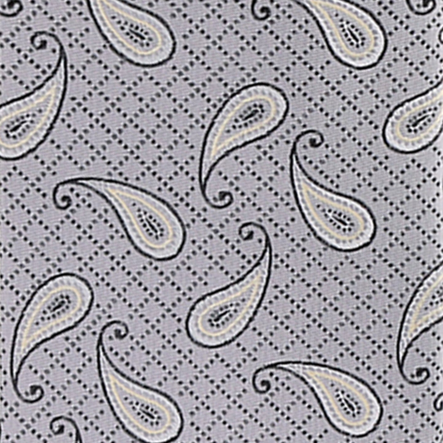 Vittorio Farina Men's Paisley Design Necktie & Pocket Square