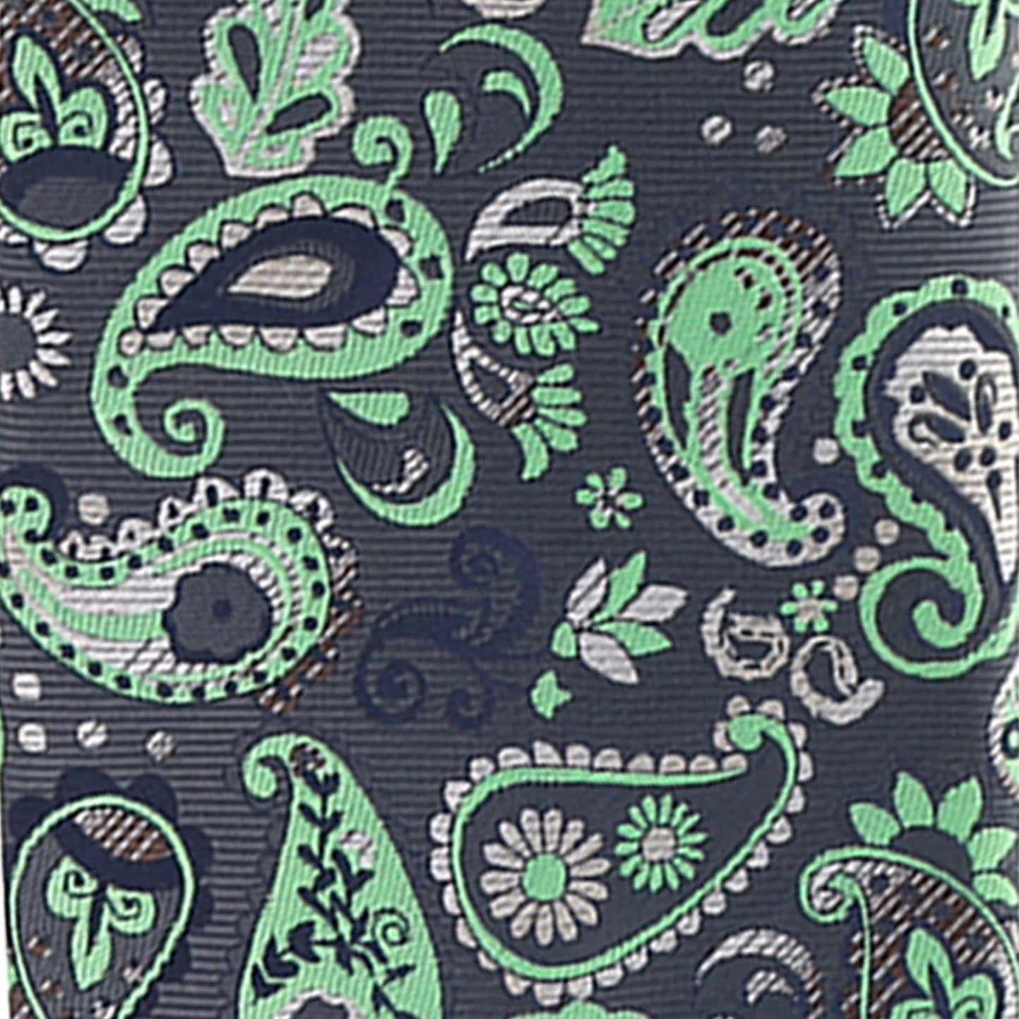 Vittorio Farina Men's Paisley Design Necktie & Pocket Square