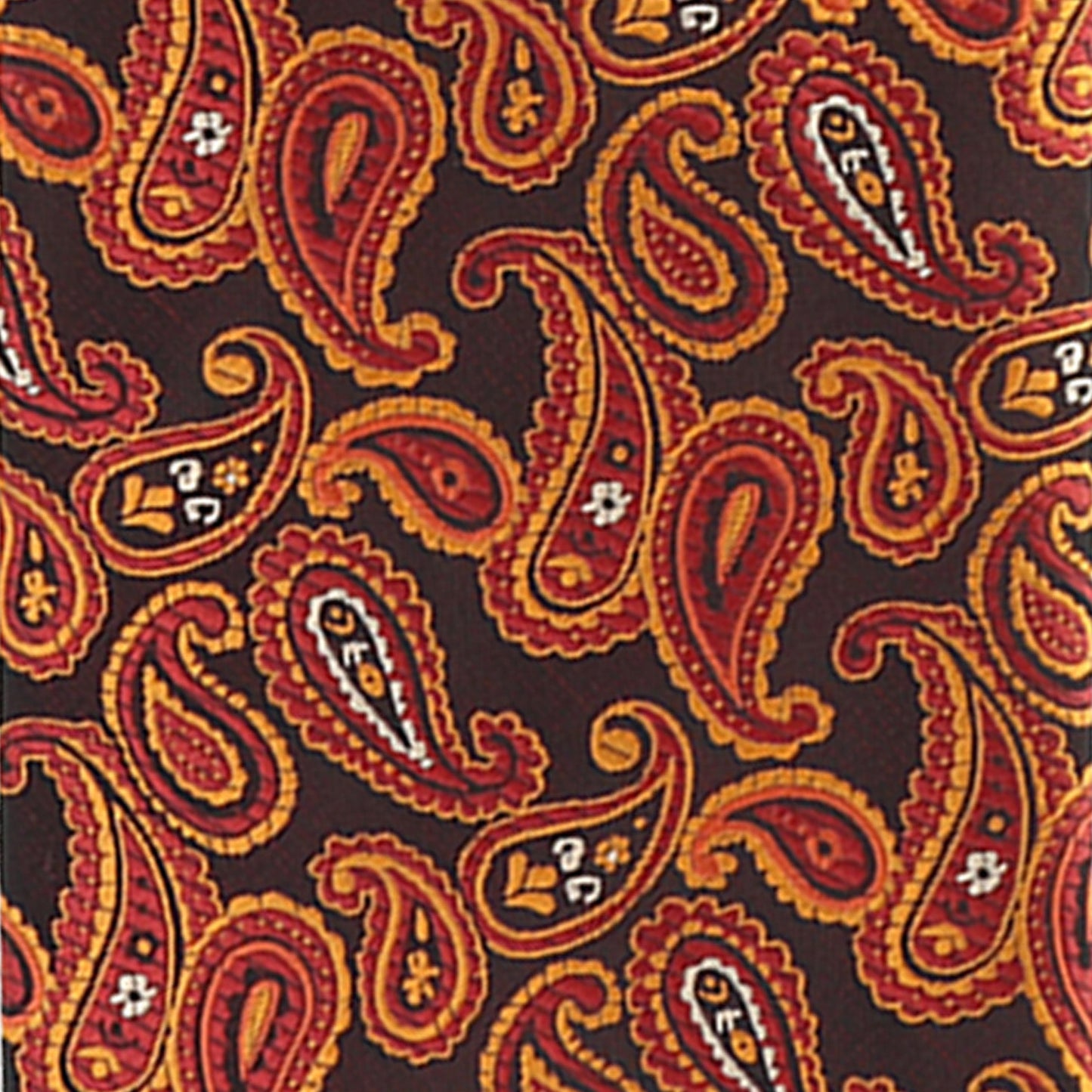 Vittorio Farina Men's Paisley Design Necktie & Pocket Square