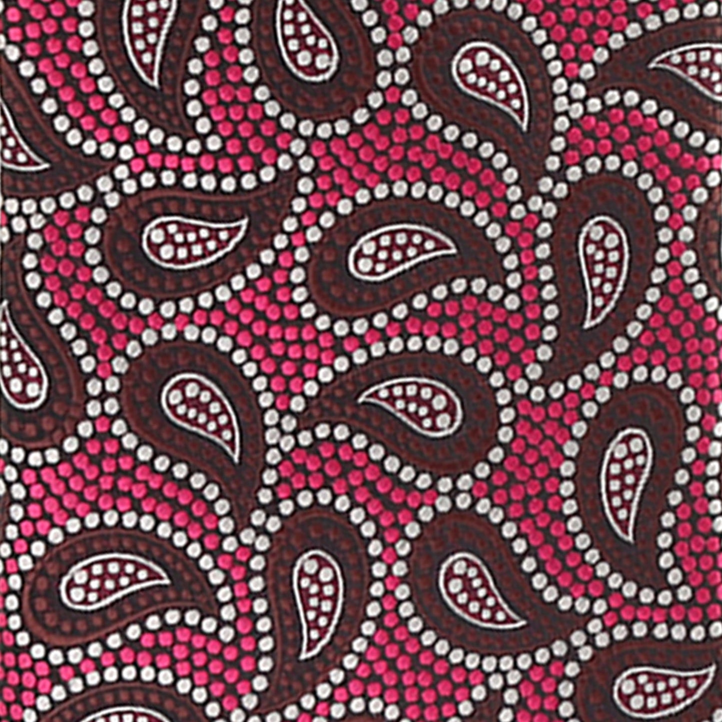 Vittorio Farina Men's Paisley Design Necktie & Pocket Square